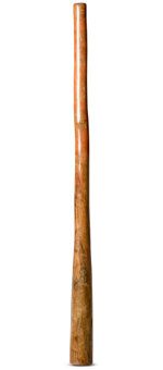 CrookedStixz Didgeridoo (AH362)